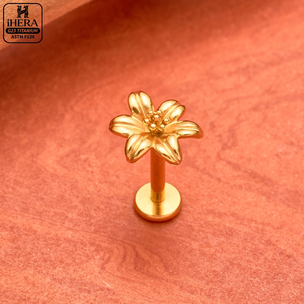 Anting-anting titanium G23 ber - Rook Curved Barbell ulasan dan harga